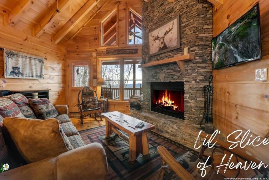 Lil Slice Of Heaven - Perfect Views-Hot Tub-Wine Villa Blue Ridge Exterior photo